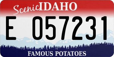 ID license plate E057231