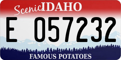 ID license plate E057232