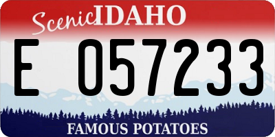 ID license plate E057233