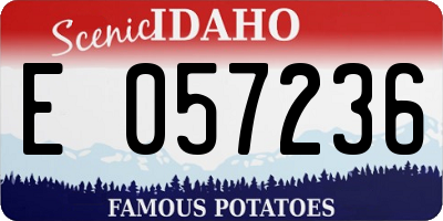 ID license plate E057236