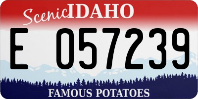 ID license plate E057239
