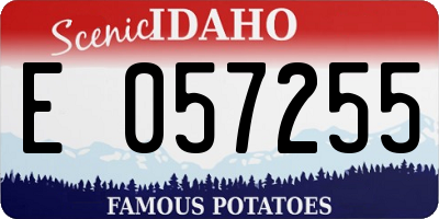 ID license plate E057255