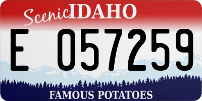 ID license plate E057259