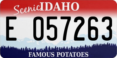 ID license plate E057263