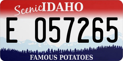 ID license plate E057265