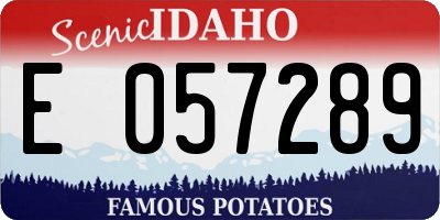 ID license plate E057289