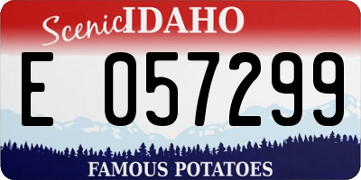 ID license plate E057299