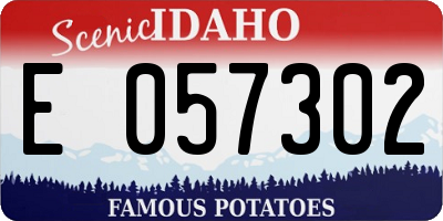 ID license plate E057302
