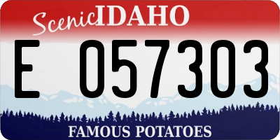 ID license plate E057303