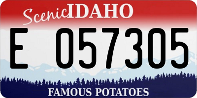 ID license plate E057305