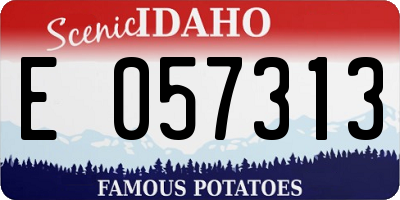 ID license plate E057313