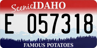 ID license plate E057318