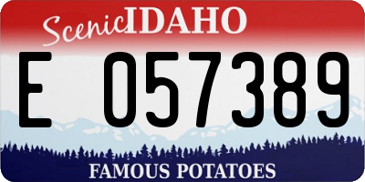 ID license plate E057389