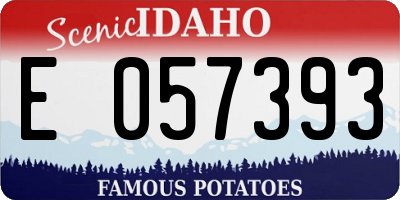 ID license plate E057393