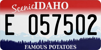 ID license plate E057502
