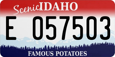 ID license plate E057503