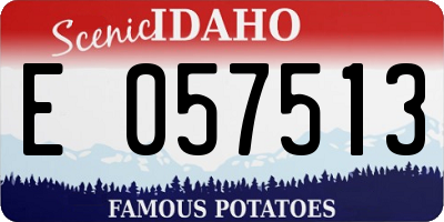 ID license plate E057513
