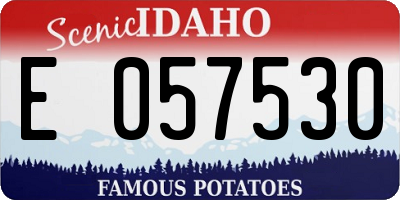 ID license plate E057530