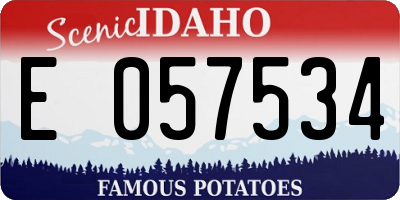 ID license plate E057534