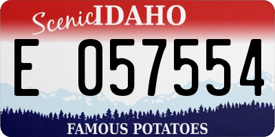 ID license plate E057554