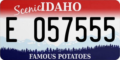 ID license plate E057555