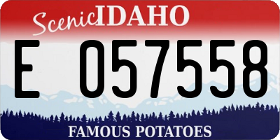ID license plate E057558