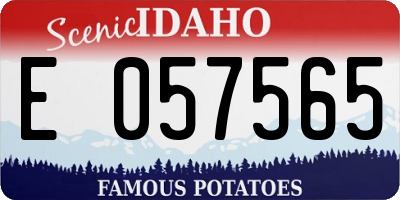 ID license plate E057565
