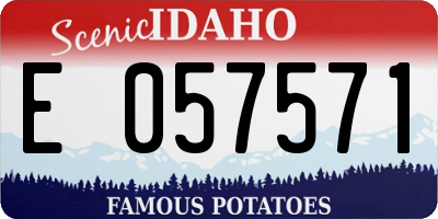 ID license plate E057571