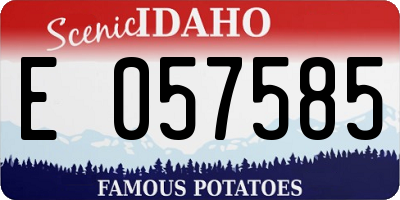 ID license plate E057585