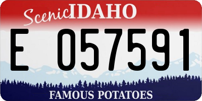 ID license plate E057591