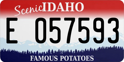 ID license plate E057593