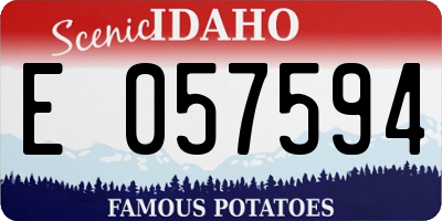 ID license plate E057594