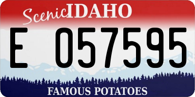 ID license plate E057595