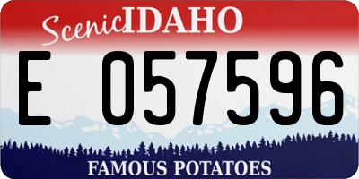 ID license plate E057596