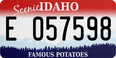 ID license plate E057598