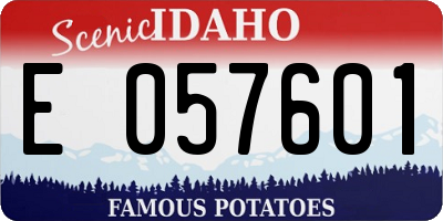 ID license plate E057601