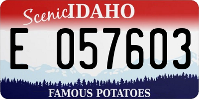 ID license plate E057603