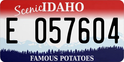 ID license plate E057604