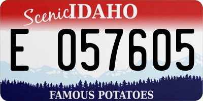 ID license plate E057605