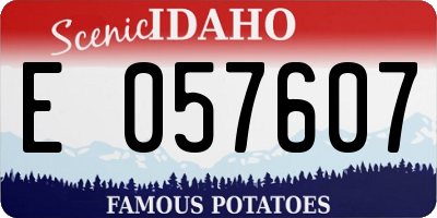 ID license plate E057607