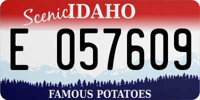 ID license plate E057609