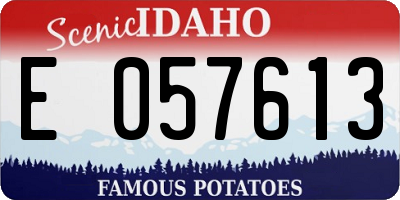 ID license plate E057613