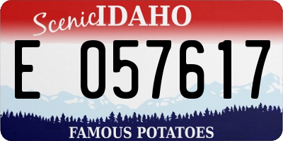 ID license plate E057617