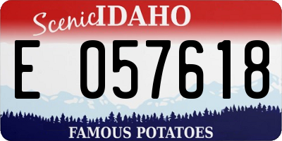 ID license plate E057618