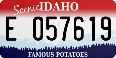 ID license plate E057619