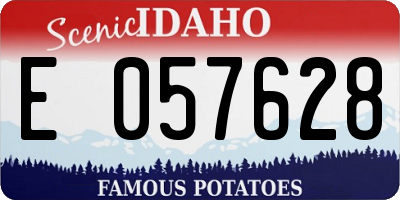 ID license plate E057628