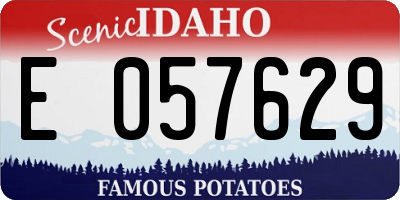 ID license plate E057629