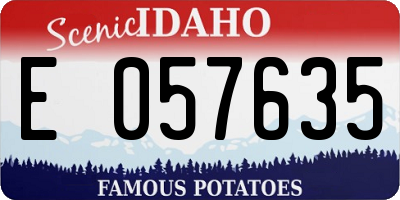 ID license plate E057635