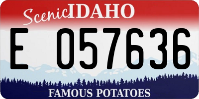 ID license plate E057636
