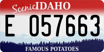ID license plate E057663